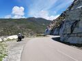 corse 017